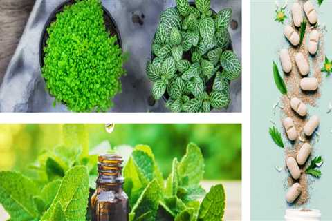 Integrating Modern Medicine with Holistic Health Approaches