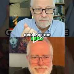 Uncover the Wheat Germ Secret: Unlock Your Body's True Potential! #shorts