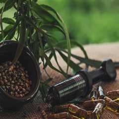 Understanding Sour Diesel's Role in Addiction Treatment