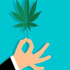 Exploring Cannabis Cultivation and Rehab Programs in Dallas, TX: A Path to Recovery