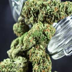 From Curiosity to Care: How an Addiction Treatment Center in Dallas, TX Supports Lasting Recovery..