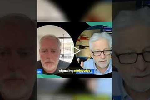 Mast Cells: The Tiny Immune System Bombshells Explained Simply! #shorts