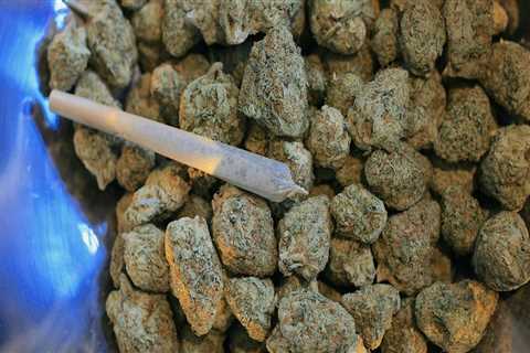 Navigating Hybrid Cannabis in Denver Rehab Centers