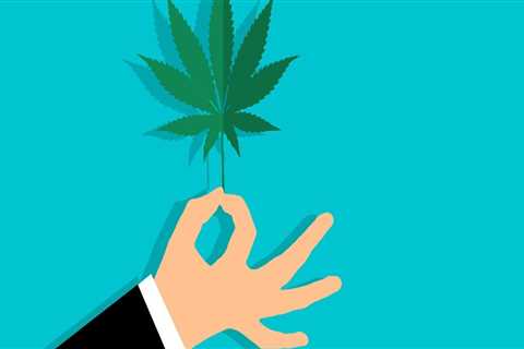 Exploring Cannabis Cultivation and Rehab Programs in Dallas, TX: A Path to Recovery