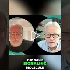 Foods That Spark Arousal: The Histamine Connection! #shorts