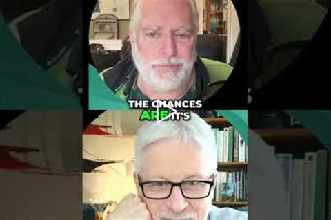 The Missing Ingredient For Focus & Sleep #shorts