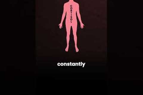 What if belly fat isn't just a food problem?